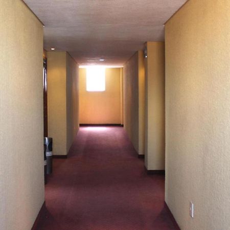 Hotel San Martin Meksika Dış mekan fotoğraf