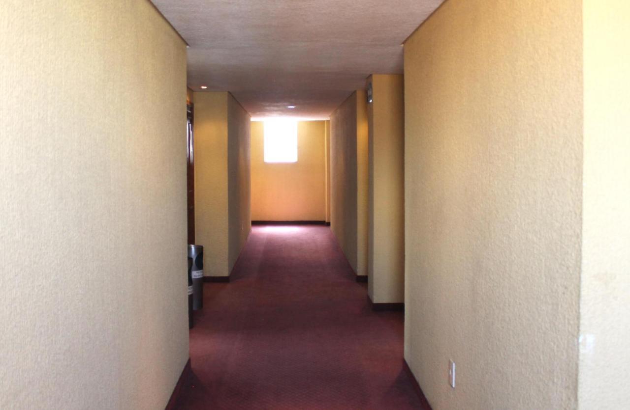 Hotel San Martin Meksika Dış mekan fotoğraf
